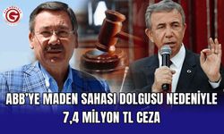 ABB’ye maden sahası dolgusu nedeniyle 7,4 milyon TL ceza