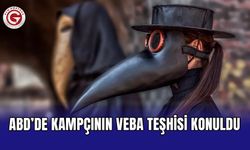 ABD’de kampçının veba teşhisi konuldu