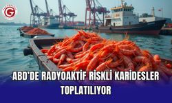 ABD’de radyoaktif riskli karidesler toplatılıyor