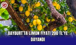 Bayburt’ta limon fiyatı 200 TL’ye dayandı