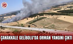 Çanakkale Gelibolu’da Orman Yangını Çıktı