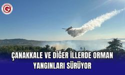 Çanakkale ve diğer illerde orman yangınları sürüyor