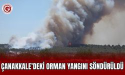 Çanakkale’deki orman yangını söndürüldü