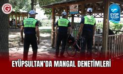 Eyüpsultan’da mangal denetimleri