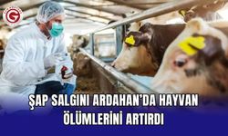 Şap salgını Ardahan’da hayvan ölümlerini artırdı