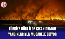 Türkiye dört ilde çıkan orman yangınlarıyla mücadele ediyor