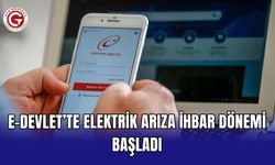 e-Devlet’te elektrik arıza ihbar dönemi başladı