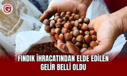 Fındık ihracatından elde edilen gelir belli oldu