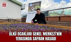 Ülkü Ocakları Genel Merkezi’nin Terasında Safran Hasadı