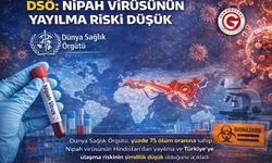 DSÖ: Nipah Virüsünün Yayılma Riski Düşük