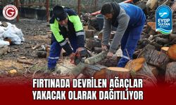Fırtınada Devrilen Ağaçlar Yakacak Olarak Dağıtılıyor