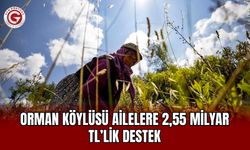 Orman köylüsü ailelere 2,55 milyar TL’lik destek