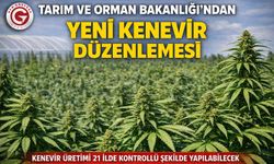 Tarım ve Orman'dan Yeni Kenevir Düzenlemesi