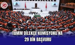 TBMM Dilekçe Komisyonu’na 29 bin başvuru