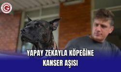 Yapay Zekayla Köpeğine Kanser Aşısı