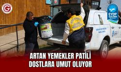 Artan Yemekler Patili Dostlara Umut Oluyor
