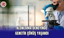 Klonlama deneyinde genetik çöküş yaşandı