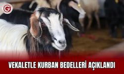 Vekaletle Kurban Bedelleri Açıklandı