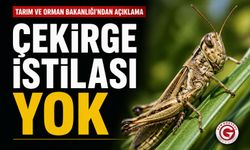 Bakanlıktan Çekirge İstilası Açıklaması