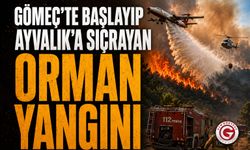 Gömeç'te Başlayan Yangın Ayvalık'a Sıçradı