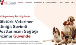 Göktürk'ün Dört Ayaklı Dostlarına Yerinde Sağlık Hizmeti