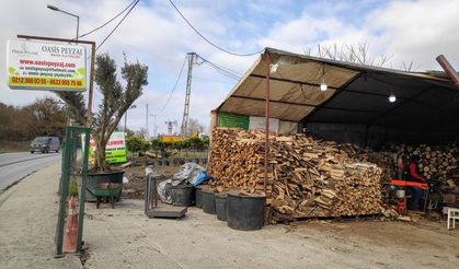 Oasis Peyzaj