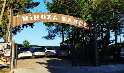 Mimoza Bahçe Cafe - Kemerburgaz
