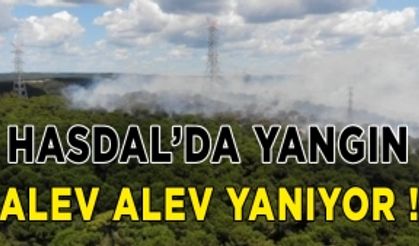 Hasdal Ormanlık alanda yangın