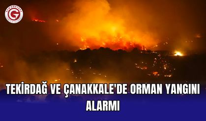Tekirdağ ve Çanakkale'de orman yangını alarmı
