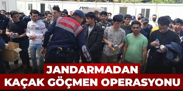 Jandarmadan Kaçak Göçmen Operasyonu