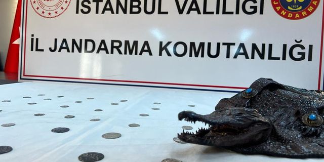 Tarihi eser kaçakçılığı operasyonunda timsah kafası ele geçirildi