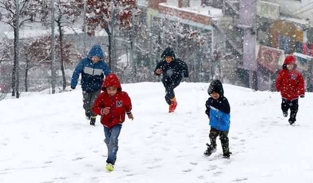 Van Bahçesaray'da okullara 1 günlük kar tatili