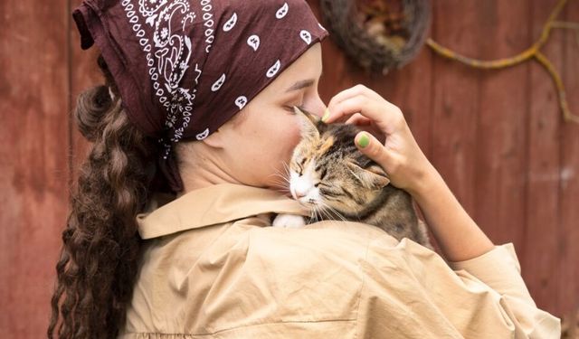 Rüyada Kedi Görmek Hayatınızda Yeni Bir Dönemin Başlangıcı mı?