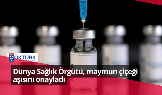 Dünya Sağlık Örgütü, maymun çiçeği aşısını onayladı