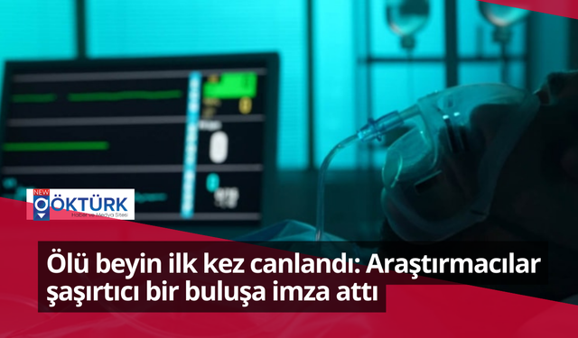 Ölü beyin ilk kez canlandı: Araştırmacılar şaşırtıcı bir buluşa imza attı