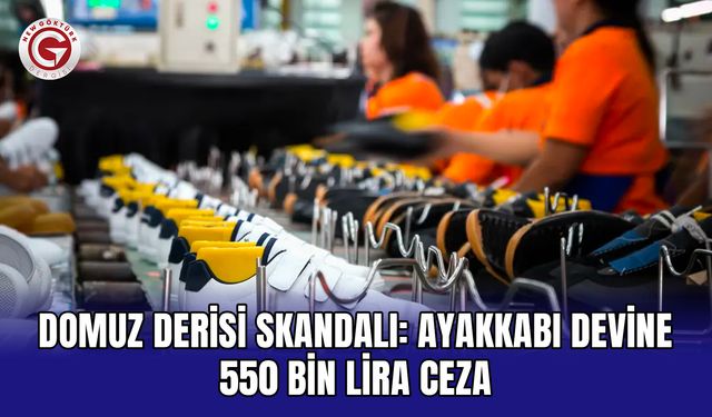 Domuz derisi skandalı: Ayakkabı devine 550 bin lira ceza