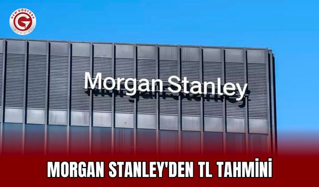 Morgan Stanley'den TL tahmini