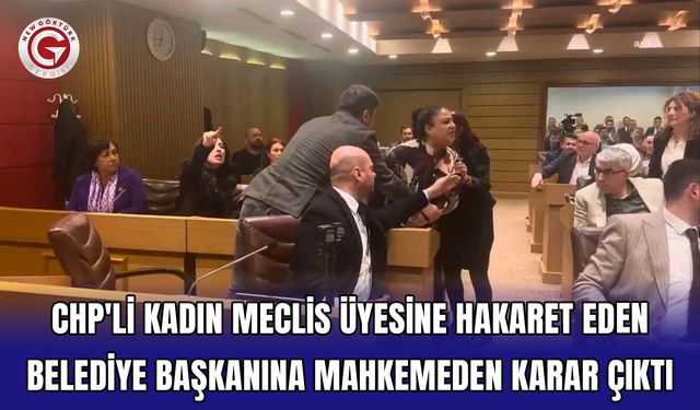 CHP'li kadın meclis üyesine hakaret eden belediye başkanına mahkemeden karar çıktı
