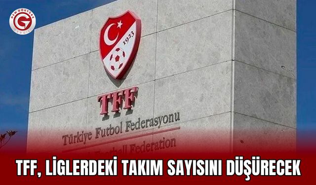 TFF, liglerdeki takım sayısını düşürecek