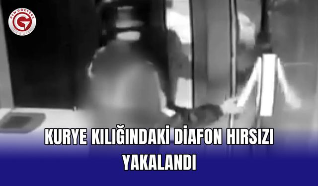 Kurye Kılığındaki Diafon Hırsızı Yakalandı