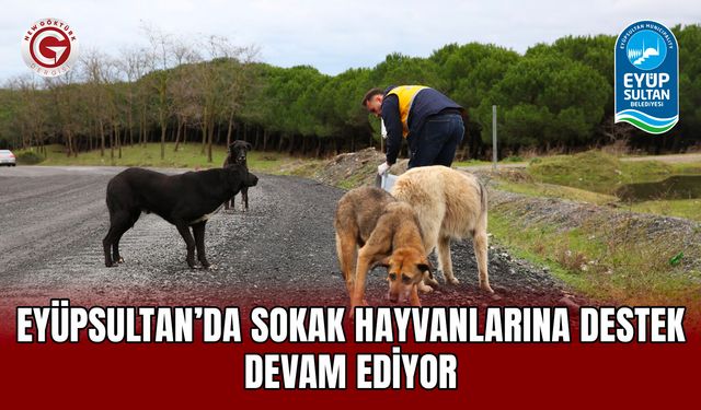Eyüpsultan’da sokak hayvanlarına destek devam ediyor