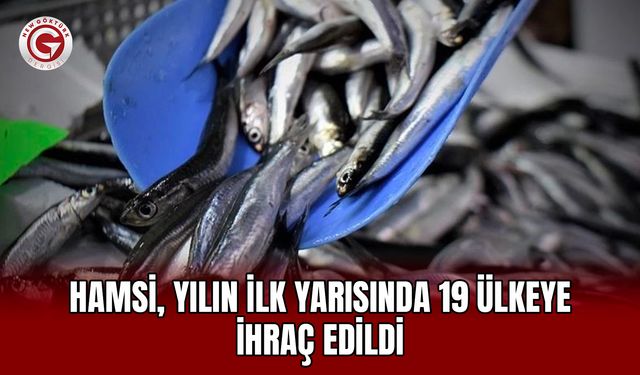 Hamsi, yılın ilk yarısında 19 ülkeye ihraç edildi