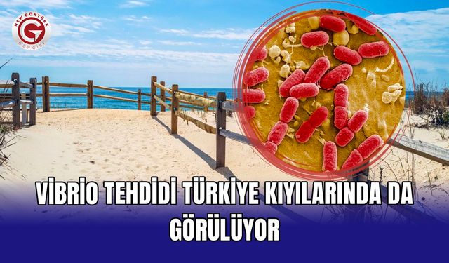 Vibrio tehdidi Türkiye kıyılarında da görülüyor