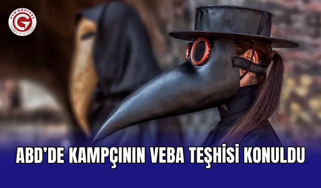 ABD’de kampçının veba teşhisi konuldu