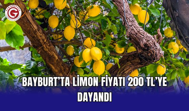 Bayburt’ta limon fiyatı 200 TL’ye dayandı
