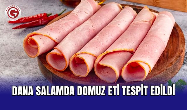 Dana salamda domuz eti tespit edildi