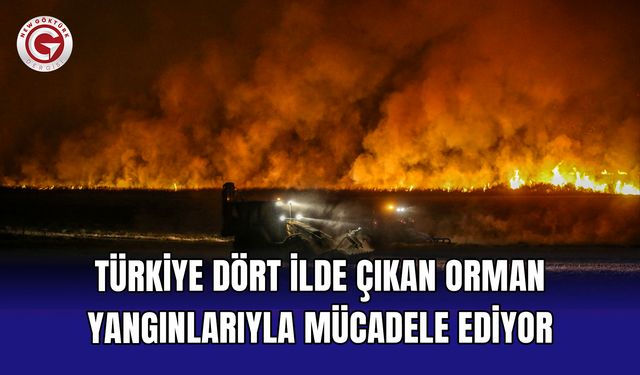 Türkiye dört ilde çıkan orman yangınlarıyla mücadele ediyor
