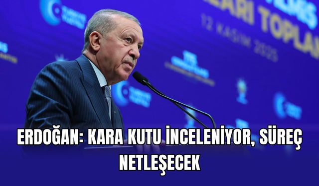 Erdoğan: Kara kutu inceleniyor, süreç netleşecek