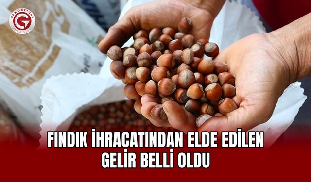 Fındık ihracatından elde edilen gelir belli oldu