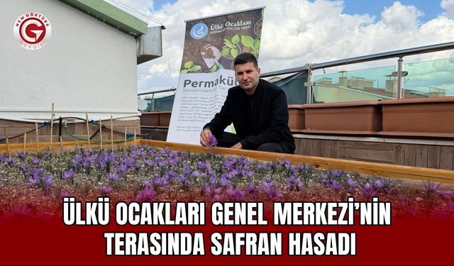 Ülkü Ocakları Genel Merkezi’nin Terasında Safran Hasadı